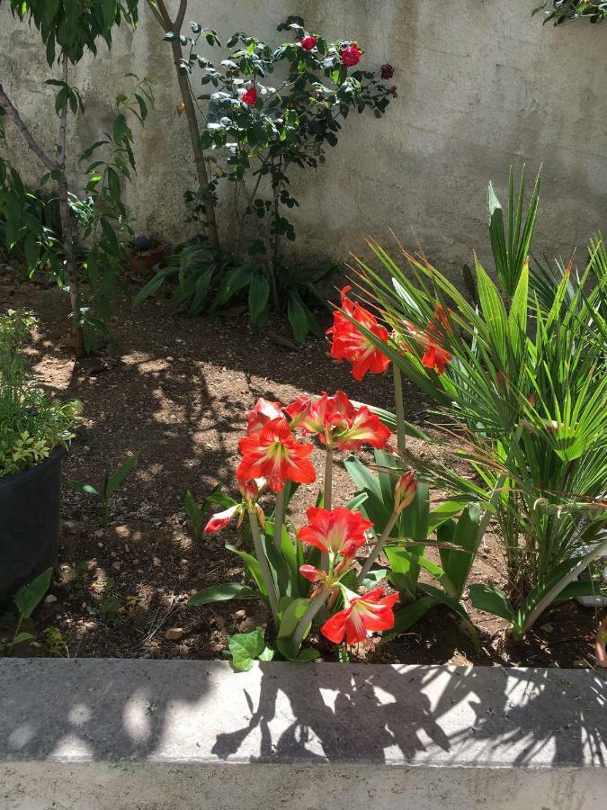 Casa Vacanza Demi Alcamo Marina Bagian luar foto