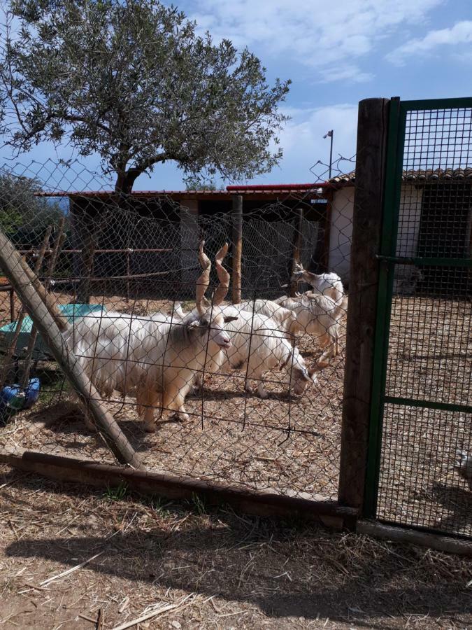 Casa Vacanza Demi Alcamo Marina Bagian luar foto