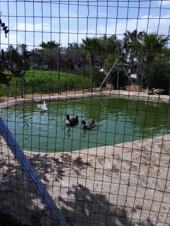 Casa Vacanza Demi Alcamo Marina Bagian luar foto