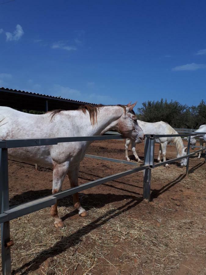 Casa Vacanza Demi Alcamo Marina Bagian luar foto